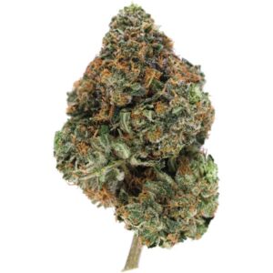 Cali Bubba Weed Strain