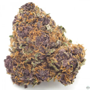 Purple Kush Marijuana Strain