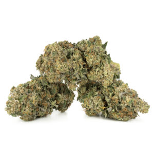 Mango Kush Marijuana Buds