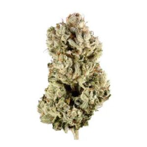Gorilla Glue Weed Strain