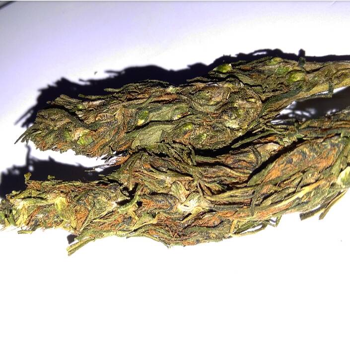 Idukki Gold Weed