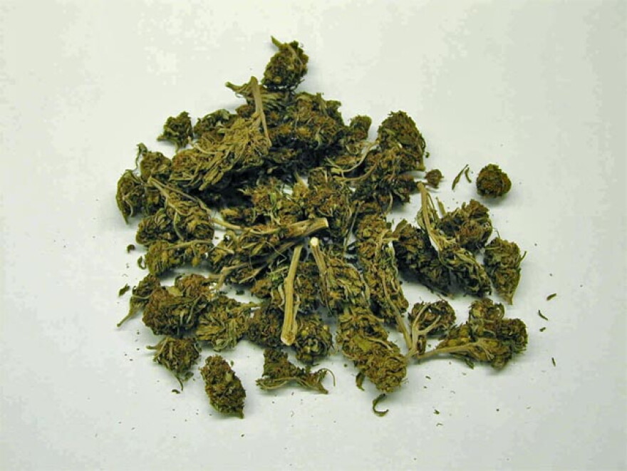 sheelavathi weed for sale